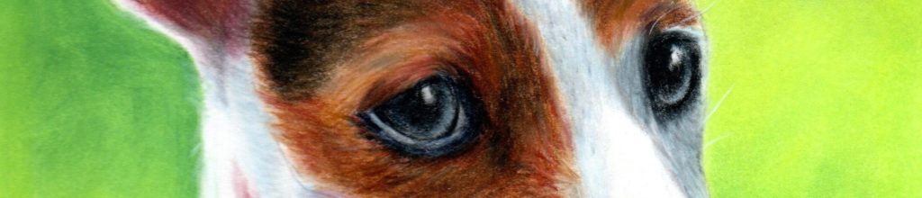 Regard de Gaja aux pastels secs
